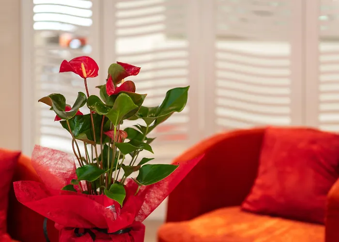 Hotel Mercure Raphael Centre