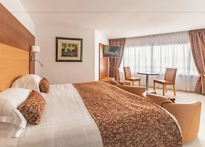 酒店 Mercure Raphael Centre 4*