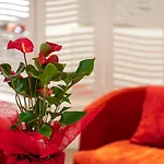 Ξενοδοχείο Mercure Raphael Centre